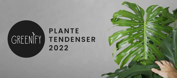 De største plante tendenser 2022