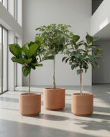 type=Simple Pot Clay/color=Pale Terracotta