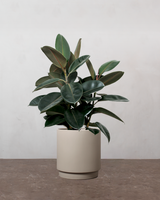 type=Simple krukke/color=Light Sand