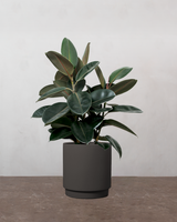 type=Simple krukke/color=Warm Black