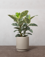 type=Simple krukke/color=Light Sand