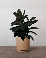 type=Simple krukke/color=Pale Terracotta