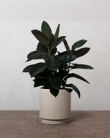 type=Simple krukke/color=Light Sand