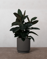 type=Simple krukke/color=Warm Black