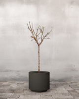 type=Simple krukke/color=Warm Black