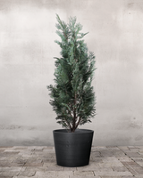 type=Greenify Udendørskrukke/color=Sort