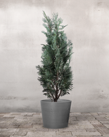 type=Greenify Udendørskrukke/color=Grå