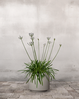 type=Simple krukke/color=Light Sand