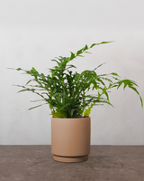 type=Simple krukke/color=Pale Terracotta