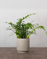 type=Simple krukke/color=Light Sand