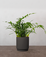 type=Simple krukke/color=Warm Black