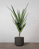 type=Simple krukke/color=Warm Black