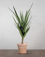 type=Terracotta krukke/color=Terracotta