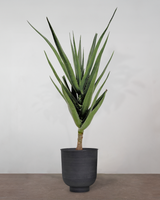 type=Vig krukke/color=Sort