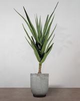 type=Glaseret krukke/color=Grå