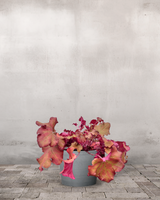 type=Greenify Udendørskrukke/color=Grå