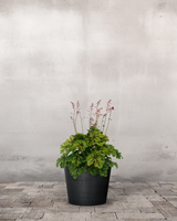 type=Greenify Udendørskrukke/color=Sort