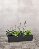 Alunrodkassen, Grøn - Altankasse m. vandreservoir