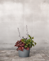 type=Greenify Udendørskrukke/color=Grå