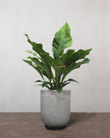 type=Glaseret krukke/color=Grå