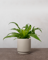 type=Simple krukke/color=Light Sand