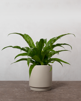 type=Simple krukke/color=Light Sand