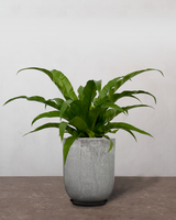 type=Glaseret krukke/color=Grå