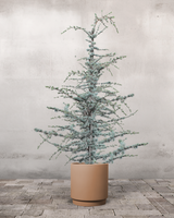 type=Simple krukke/color=Pale Terracotta