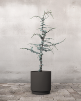 type=Simple krukke/color=Warm Black