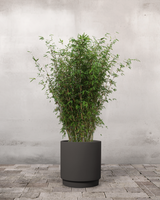 type=Simple krukke/color=Warm Black