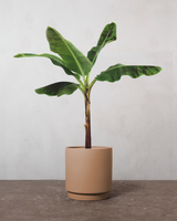 type=Simple krukke/color=Pale Terracotta