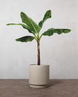 type=Simple krukke/color=Light Sand