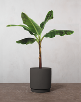 type=Simple krukke/color=Warm Black