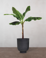 type=Vig krukke/color=Sort