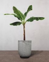 type=Glaseret krukke/color=Grå