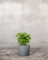 type=Greenify Udendørskrukke/color=Grå