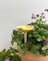Bee Cup