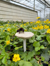 Bee Cup