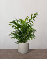 type=Simple krukke/color=Light Sand