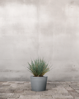 type=Greenify Udendørskrukke/color=Grå