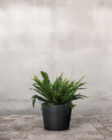 type=Greenify Udendørskrukke/color=Sort