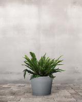 type=Greenify Udendørskrukke/color=Grå