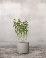 type=Simple krukke/color=Light Sand