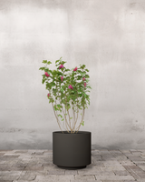 type=Simple krukke/color=Warm Black