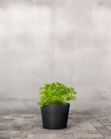 type=Greenify Udendørskrukke/color=Sort