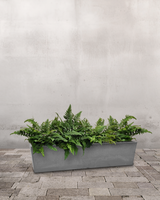 Bregnekassen - Altankasse m. vandreservoir