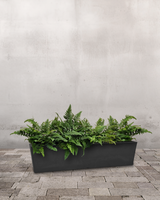 Bregnekassen - Altankasse m. vandreservoir