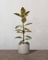 type=Simple krukke/color=Light Sand