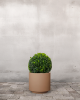 type=Simple krukke/color=Pale Terracotta