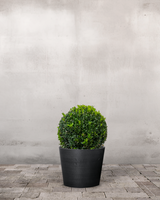 type=Greenify Udendørskrukke/color=Sort